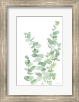 Eucalyptus II Fine Art Print