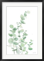 Eucalyptus I Fine Art Print
