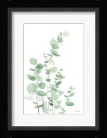 Eucalyptus I Fine Art Print