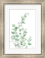 Eucalyptus I Fine Art Print