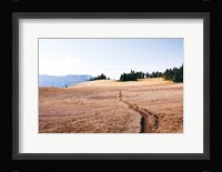 Hurricane Hill I Fine Art Print