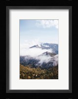 Hurricane Ridge I Fine Art Print