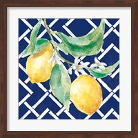 Everyday Chinoiserie Lemons I Fine Art Print