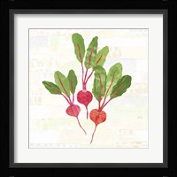 Kitchen Garden V No Words Framed Print