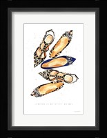 On the Wild Side III Framed Print