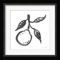 Ink Orange II Framed Print