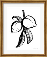 Ink Peaches Fine Art Print