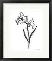 Ink Flower II Framed Print
