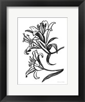 Ink Lilies II Fine Art Print