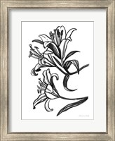 Ink Lilies II Fine Art Print