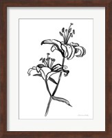 Ink Lilies I Fine Art Print