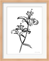 Ink Lilies I Fine Art Print