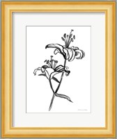 Ink Lilies I Fine Art Print