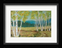 Birch Road Fine Art Print