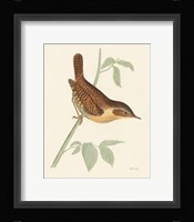 Engraved Birds I Framed Print