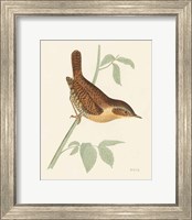 Engraved Birds I Fine Art Print