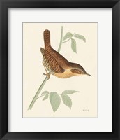 Engraved Birds I Fine Art Print