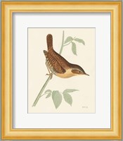 Engraved Birds I Fine Art Print