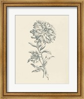 Eden Floral I Fine Art Print