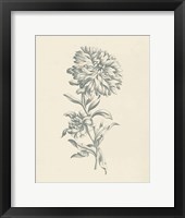 Eden Floral I Framed Print