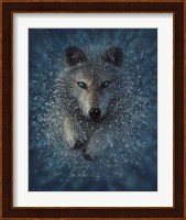Running Wolf Fine Art Print