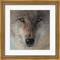 Inner Wolf Fine Art Print