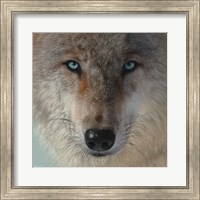 Inner Wolf Fine Art Print