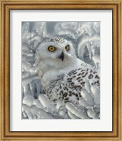 Snowy Owl Sanctuary Fine Art Print