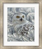 Snowy Owl Sanctuary Fine Art Print