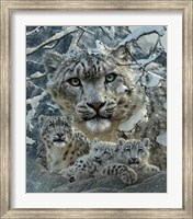 Snow Leopard Collage Fine Art Print