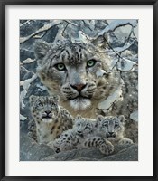 Snow Leopard Collage Fine Art Print