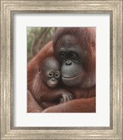 Orangutan Mother and Baby Fine Art Print