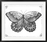 Butterfly VII Fine Art Print