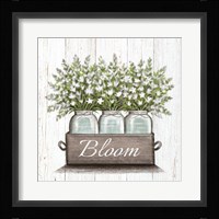 Bloom Fine Art Print