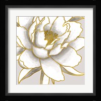 Gold Peony Fine Art Print