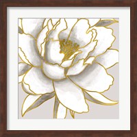 Gold Peony Fine Art Print