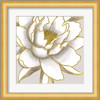 Gold Peony Fine Art Print