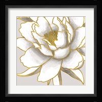 Gold Peony II Fine Art Print