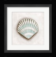 Shell III Framed Print