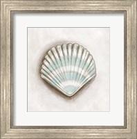 Shell III Fine Art Print