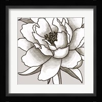 Peony I Fine Art Print