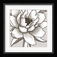 Peony II Fine Art Print