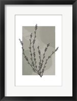 Sage Floral II Framed Print