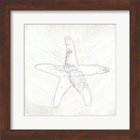 Coastal Starfish Fine Art Print