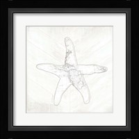 Coastal Starfish Fine Art Print
