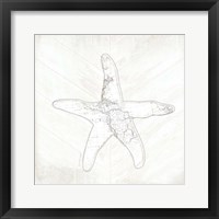 Coastal Starfish Framed Print