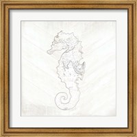 Coastal Seahorse Fine Art Print