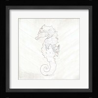 Coastal Seahorse Fine Art Print