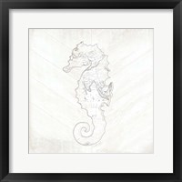 Coastal Seahorse Fine Art Print