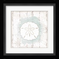 Calming Coastal Sand Dollar Framed Print